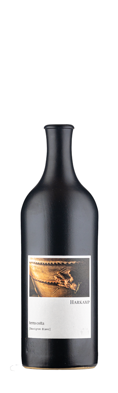 terra cotta [Sauvignon Blanc] 2021 - BIO, Demeter